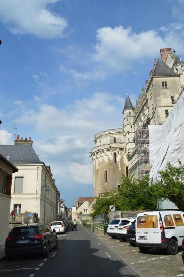 Cosy Studio, At Foot Of - Au Pied Du, Chateau D'Amboise Appartement Buitenkant foto